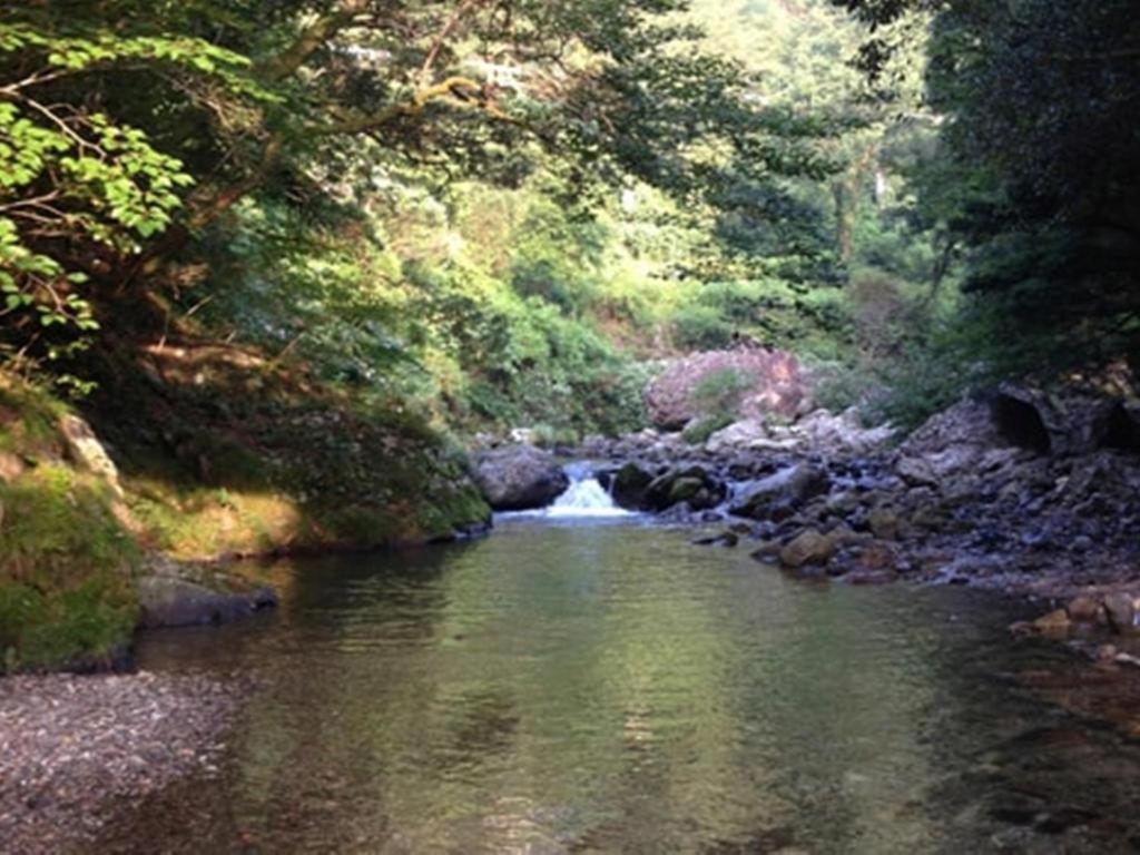 Auberge Tosayama Коті Екстер'єр фото